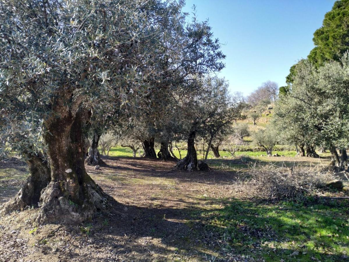 Casa Rural La Picota Valverde de la Vera Luaran gambar