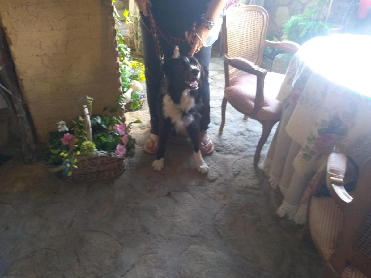 Casa Rural La Picota Valverde de la Vera Luaran gambar